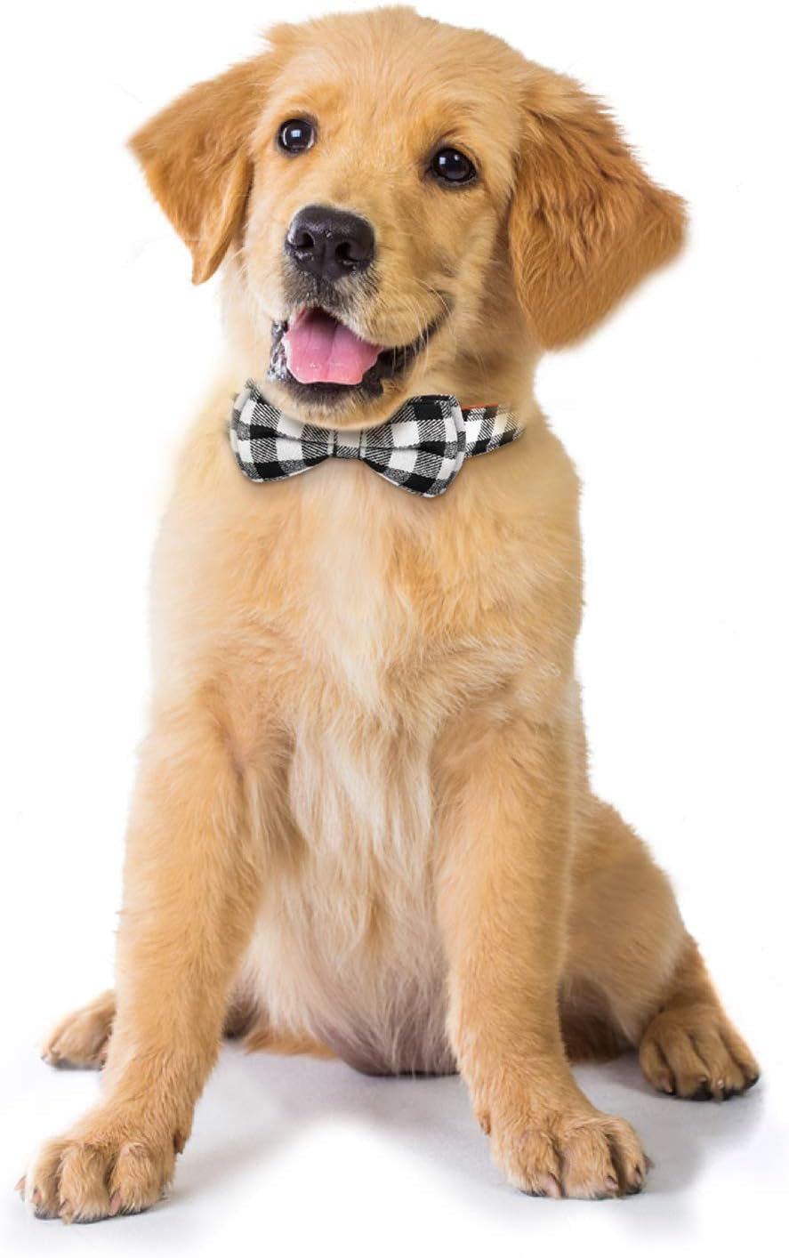 Dog Bow Tie,  Dog Cat Collar with Bow Tie Buckle Light Plaid Dog Collar for Dogs Cats Pets Soft Comfortable,Adjustable (S, Black)