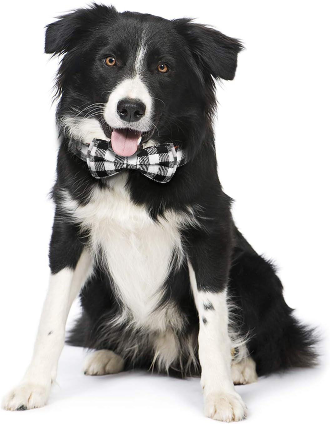 Dog Bow Tie,  Dog Cat Collar with Bow Tie Buckle Light Plaid Dog Collar for Dogs Cats Pets Soft Comfortable,Adjustable (S, Black)